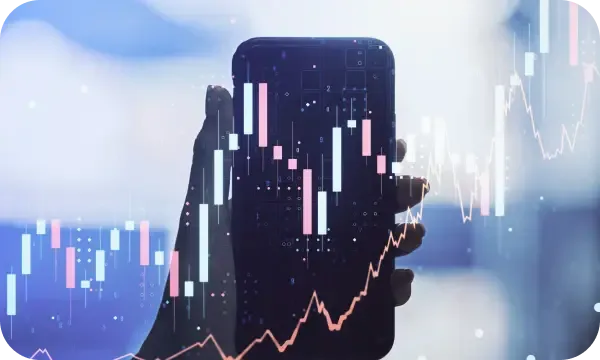Cèdre Placivect mercato crypto